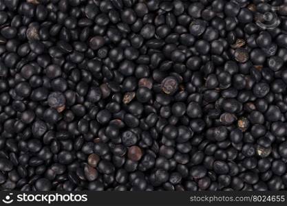 black lentils background closeup texture - macro shot