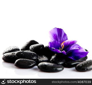 Black massage stones isolated