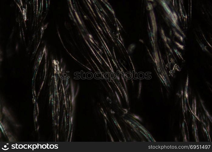 Black nylon mesh cloth fibers under the microscope.