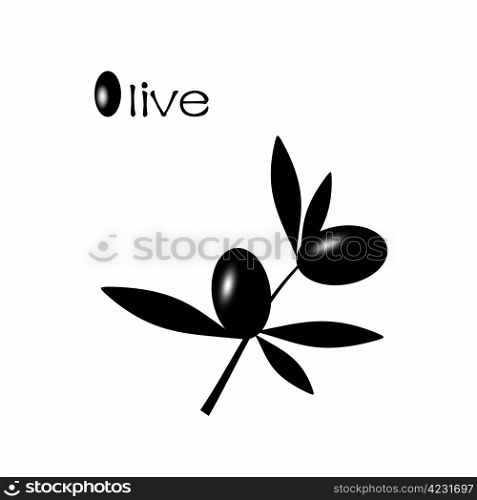Black olive branch isolated on white background