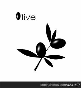 Black olive branch isolated on white background
