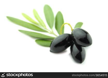 Black Olives with leaves on a white background