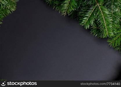 Black paper background with green fir tree branches in corners with copy space for text. Black background with green fir tree