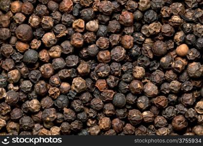 Black peppercorn seeds background. Macro shot, top view