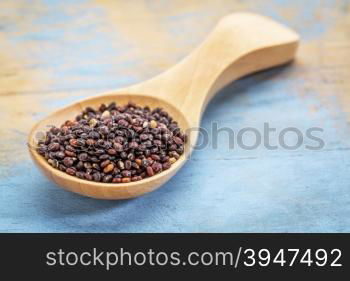 black quinoa grain on a wooden spoon against blue painted grunge wood