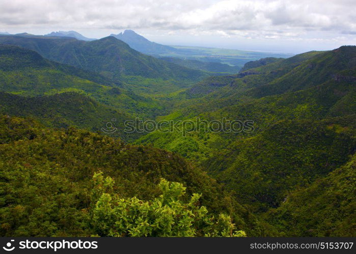 black river mountain in mauritius africa water fall gran riviere