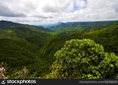 black river mountain in mauritius africa water fall gran riviere