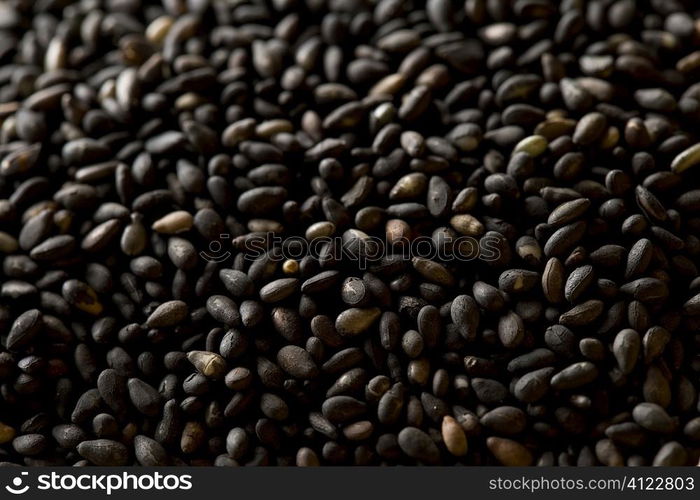 Black Sesame