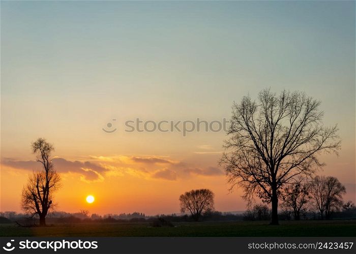 Black silhouettes of trees visible during sunset, Nowiny, Poland