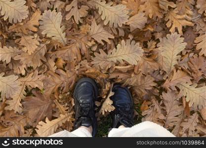 Black sneakers shoes standing in a pile of autumnn leaves background texture, season concept top view. Black sneakers shoes standing in a pile of autumnn leaves background texture, season concept