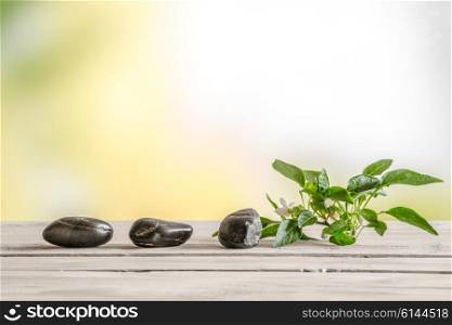 Black stones and a flower on a table in a garden