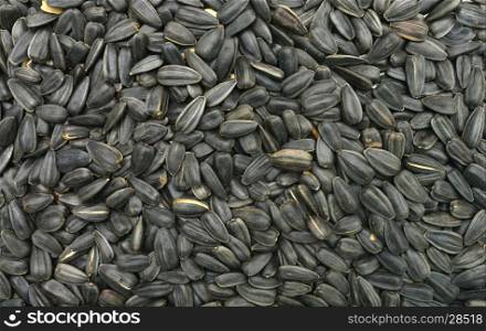 black sunflower seeds texture pattern food background
