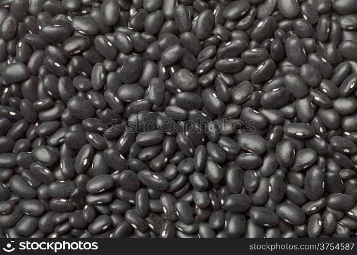 Black turtle beans full frame