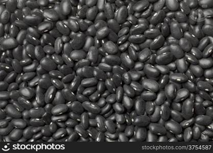 Black turtle beans full frame