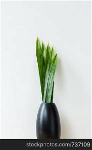 Black Vase and Green Leaf
