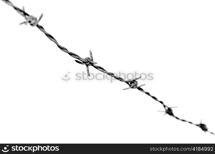 Black & white photograph of barbed wire. Shallow depth-of-field