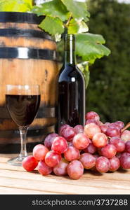 Black wine glass with freshly harvested grapes