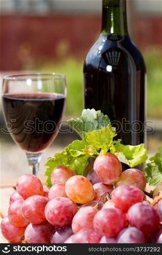 Black wine glass with freshly harvested grapes