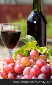 Black wine glass with freshly harvested grapes