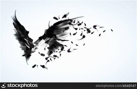 Black wings. Abstract image of black wings against light background