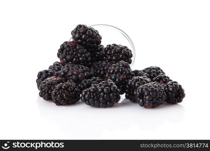 blackberries