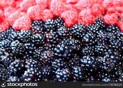 blackberries and raspberry. heap of ripe berries of blackberry and raspberry