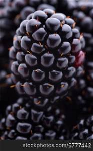Blackberries. Fruits and vegetables: group of fresh blackberries, close-up shot