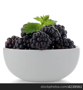 Blackberries in White Bowl isolated on white background.