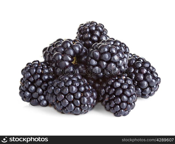 Blackberries isolated on white background.