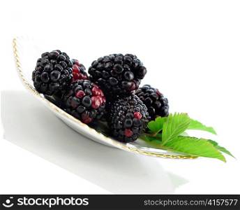 blackberries on a plate on white background