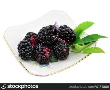 blackberries on a plate on white background