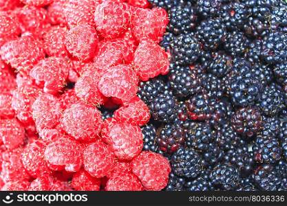 blackberry and red raspberry. heap of ripe berries of blackberry and raspberry