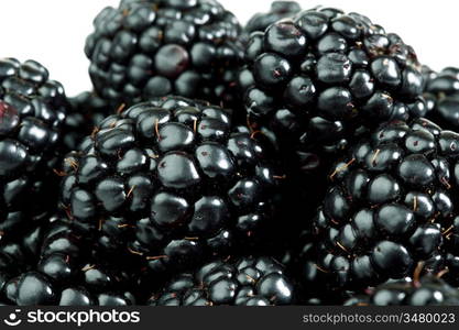 blackberry background macro close up