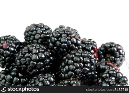 blackberry background macro close up