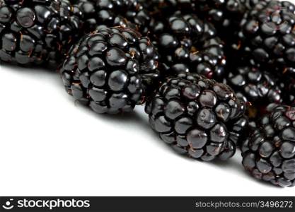 blackberry background macro close up
