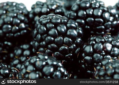 blackberry background macro close up