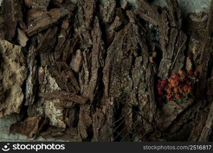 blackberry berries on a bark background of a tree. dish on a tree bark