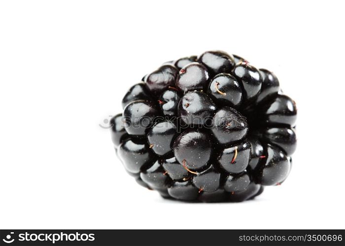 blackberry isolated on white background