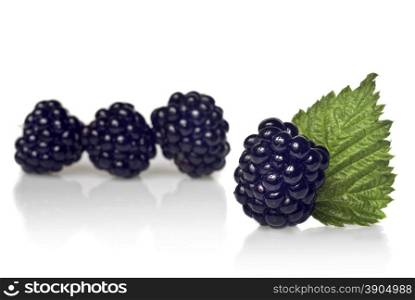 blackberry with green leaf isolated on white