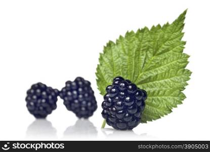 blackberry with green leaf isolated on white