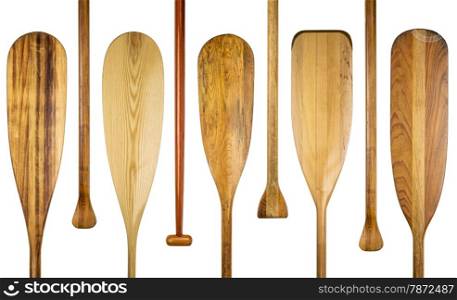 blades and grips of wooden canoe paddles, a variety of styles and shapes - paddling concept
