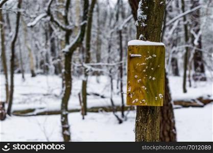 blank empty wooden sign board on a tree, forest landscape during winter season, white snowy scenery