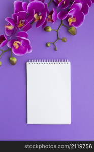 blank notepad surrounded by orchids