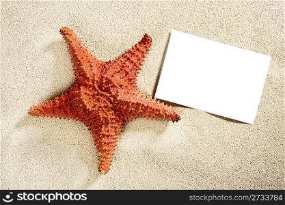 blank paper on white sand beach with starfish like summer vacation background