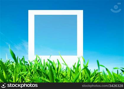 Blank photo on nature background in grass.