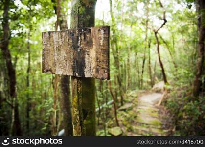 Blank sign post in the jungle with a trail