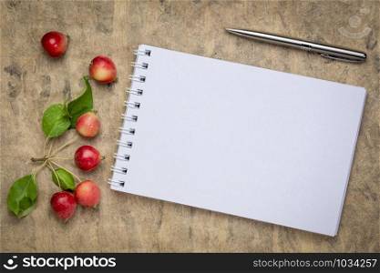 blank spiral art sketchbook against textured bark paper with fresh crab apples, fall holidays greeting card concept
