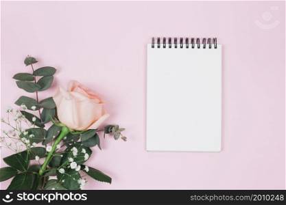 blank spiral notepad with rose gypsophila flower against pink background