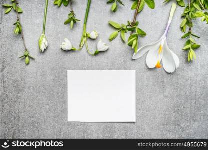 Blank white card with snowdrop, crocuses flowers and spring twigs, top view. Springtime greeting card