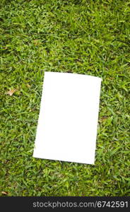 blank white flyer on grass, to replace with own images or messages.